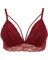 Defacto - Triangel-bralette aus spitze fall in love r6569az23au - Lyst