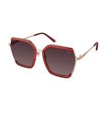 Guess - Ladies' Sunglasses Gf0418-5869T Ø 58 Mm - Lyst
