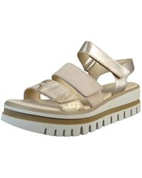 Gabor - Komfort Sandalen Snake Keil F-Weite 44.620 34 Rouge Kombi Leder Für Damen - Lyst