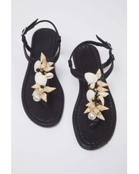 Trendyol - Stilvolle Flip-Flop-Sandalen Mit Schwarzen Muschelperlen Und Details Für Damen - Lyst