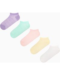 Penti - Mehrfarbige-Blaue Zickzack-5Er-Pack Booties-Socken Für Damen - Lyst