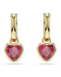 Swarovski - Chroma Goldfarbene Hartjes Ohrhänger 5684760 Für Damen - Lyst