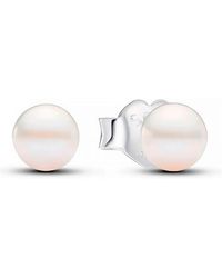 PANDORA - 4,5 Mm Knopf-Ohrringe Aus Süßwasser-Zuchtperlen 293168C01 - Lyst