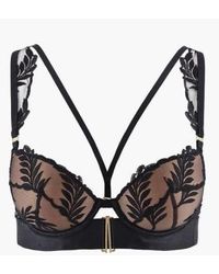 Aubade - Queen Of Shadow Padded Bra - Lyst
