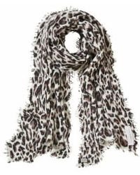 PUR SCHOEN - Hand Felted Cashmere Soft Scarf Leo -nougat + Gift Nougat - Lyst