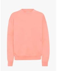 COLORFUL STANDARD - Organic Oversized Crew Bright / S - Lyst