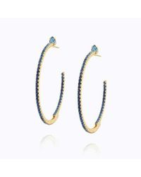 Caroline Svedbom - 'crystal Loop' Earrings Sapphire - Lyst