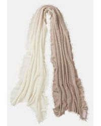 PUR SCHOEN - Hand Felted Cashmere Soft Scarf Ombre Nougat- + Gift Wool - Lyst