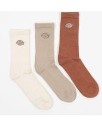 Dickies - 3 chaussettes logo pack valley grove en - Lyst