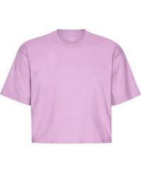 COLORFUL STANDARD - Cherry Blossom Organic Boxy Crop T-shirt Xs - Lyst