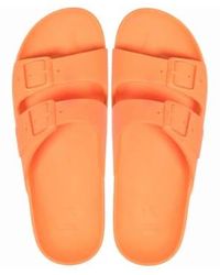 CACATOES - *coming Soon!* Sandals Bahia Fluro 36 - Lyst