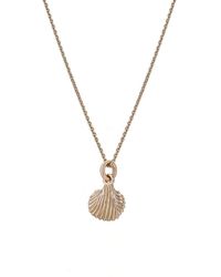 Renné Jewellery - 9 Carat Trace Chain & Sea Shell 18" - Lyst