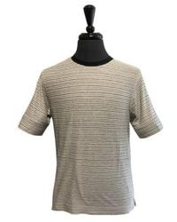 Circolo 1901 - Baumwoll- und leinen-trikot-streifen-t-shirt in braunem und schwarzem cn3978 - Lyst