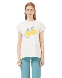 Compañía Fantástica - T Shirt With Lemons In From - Lyst