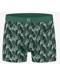 Adam Lippes - Boxer Briefs Palm Leaves - Lyst