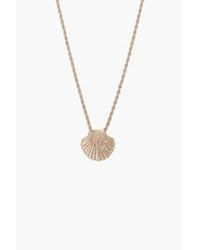 Tutti & Co - Ne697g Shell Necklace One Size / - Lyst