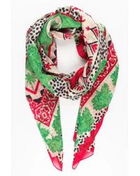 MSH - Desert Camel And Palm Tree Print Bordered Cotton Scarf In - Lyst