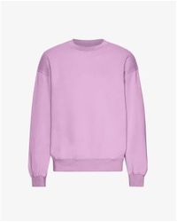 COLORFUL STANDARD - Cherry Blossom Organic Cotton Crew Neck Sweatshirt S - Lyst