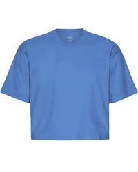 COLORFUL STANDARD - Sky Organic Boxy Crop T Shirt - Lyst