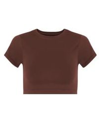 Prism - Maroon Mindful Cropped T Shirt One Size - Lyst