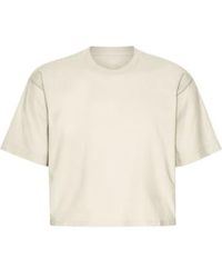 COLORFUL STANDARD - Ivory Organic Boxy Crop T-shirt S - Lyst