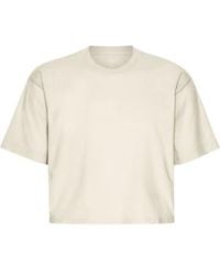 COLORFUL STANDARD - T-shirt à culte en carrée biologique blanc ivoire - Lyst