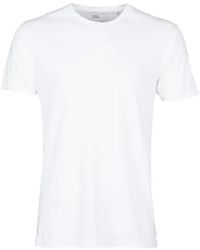 COLORFUL STANDARD - Klassisches organisches t-shirt optisch weiß - Lyst