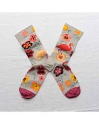 Bonne Maison - Celadon Ibis Socks 36-38 - Lyst