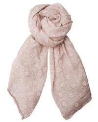 Black Colour - Colour Lynne Scarf Rose - Lyst