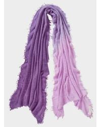 PUR SCHOEN - Hand Felted Cashmere Soft Scarf Ombre Lilac Gift - Lyst