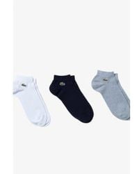 Lacoste - Pack Of 3 Pairs Low Sport Trainer Socks 6-8 - Lyst