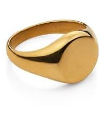 Nordic Muse - Round Signet Ring, 18k Tarnish-free Waterproof Plated - Lyst