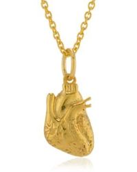 CollardManson - Wdts 925 Anatomical Heart Necklace Gold Plated - Lyst
