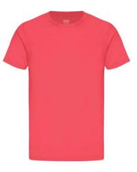 COLORFUL STANDARD - T-shirt organique classique rouge mandarine - Lyst