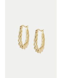 Daisy London Gold Stacked Rope Creole Hoops - Bianco