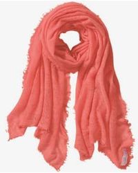 PUR SCHOEN - Hand Felted Cashmere Soft Scarf Lobster / Hummer + Gift - Lyst