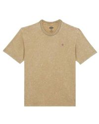 Dickies - T-shirt Newington Uomo Sandstone S - Lyst