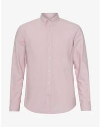 COLORFUL STANDARD - Chemise Organic Button Down Shirt Faded L / Rose - Lyst