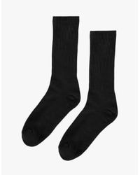 COLORFUL STANDARD - Organic Active Sock - Lyst