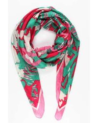 Miss Shorthair LTD - Miss Shorthair 3145Hpgr Abstract Leaf Animal Print Cotton Scarf In Hot - Lyst