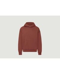 COLORFUL STANDARD - Organic Cotton Oversized Hoodie Xs - Lyst