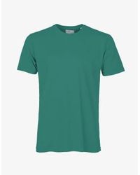 COLORFUL STANDARD - Pine Organic Cotton T Shirt M - Lyst