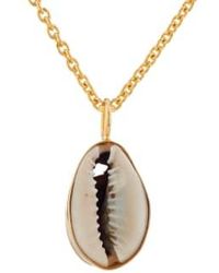 CollardManson - Cowrie Shell Necklace 925 Silver Gold Plated Chain One Size - Lyst