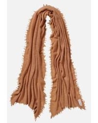PUR SCHOEN - Camel Hand Felted Cashmere Soft Scarf Gift - Lyst