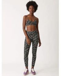 Electric and Rose - Electric & Sunset legging Electric Leopard - Lyst