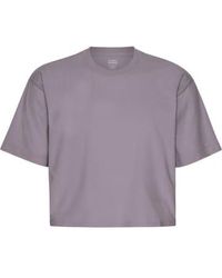 COLORFUL STANDARD - T-shirt récolte en carrée biologique violet organic - Lyst