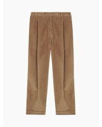 Cordera - Cotton Corduroy Pants Miel One Size - Lyst