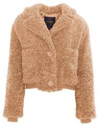 Freed - Romeo Cropped Teddy Faux Fur Jacket Camel S - Lyst