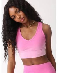 Electric and Rose - And Allegra Sports Bra L - Lyst
