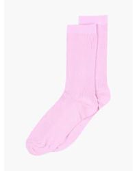 mpDenmark - Cotton Rib Ankle Socks Fragrant Lilac 40-42 - Lyst
